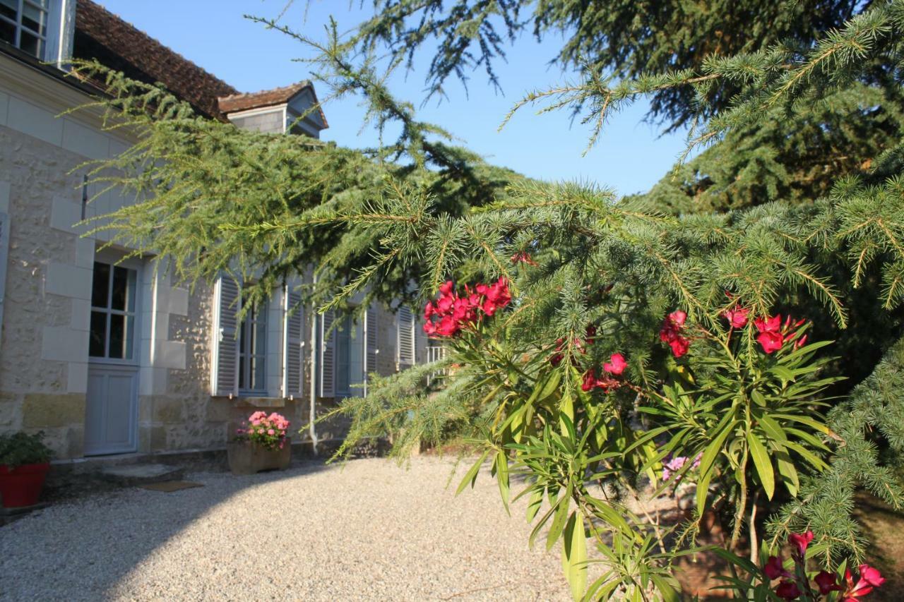 Bella Simonetta Bed & Breakfast Francueil Екстериор снимка